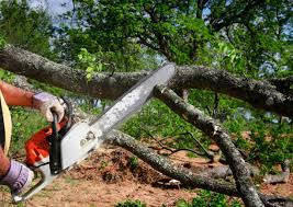 Lawn Watering Services in Youngsville, NC